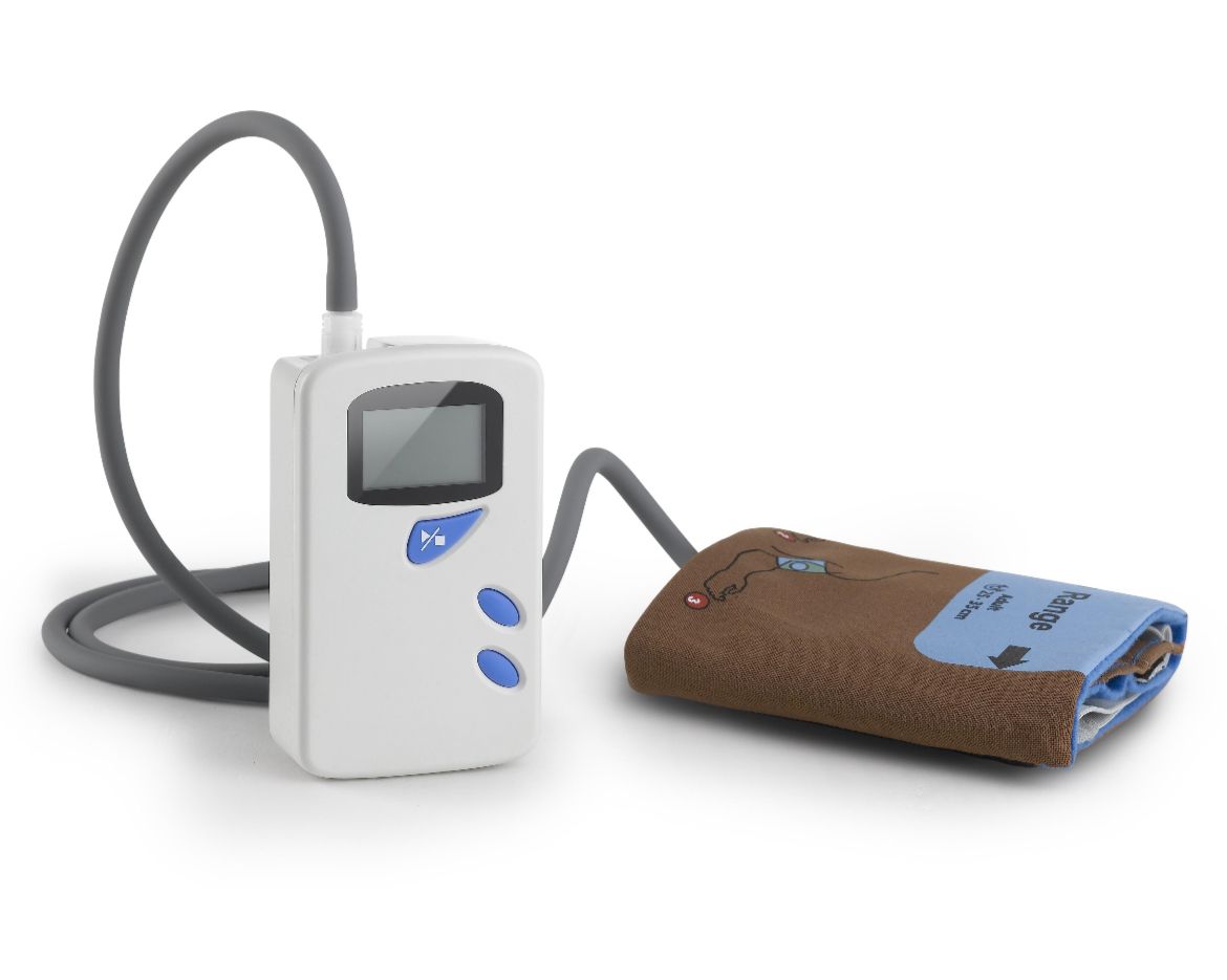 WhatsApp Image 2023-07-06 at 6.07.30 PM